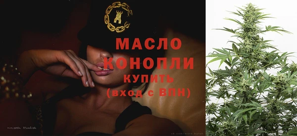 дживик Надым