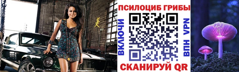 где купить наркоту  Рыбинск  Псилоцибиновые грибы Cubensis 